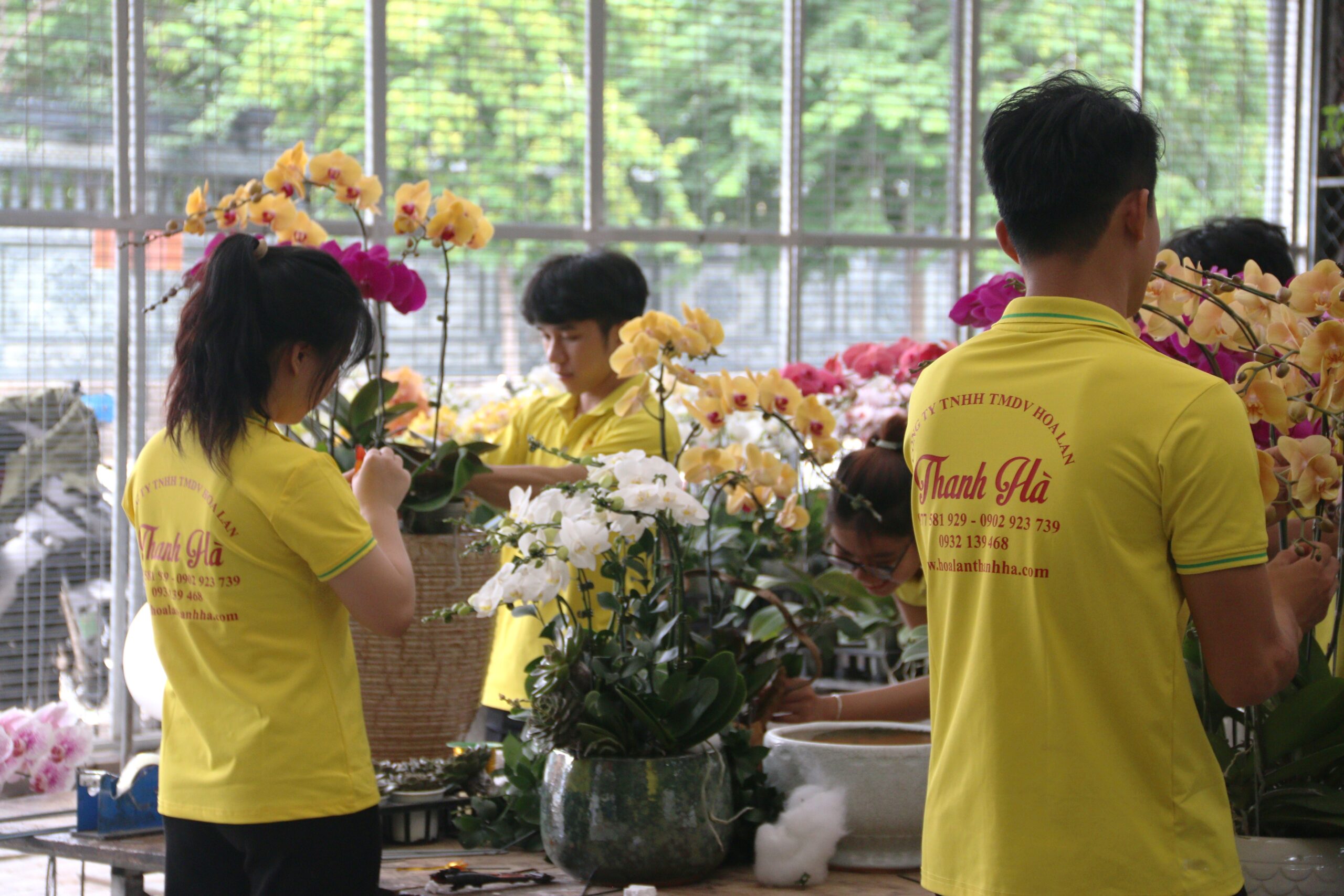 Ngoài giá cả luôn cạnh tranh Hoa Lan Thanh Hà có đội ngũ nhân viên với trình độ tay nghề cao