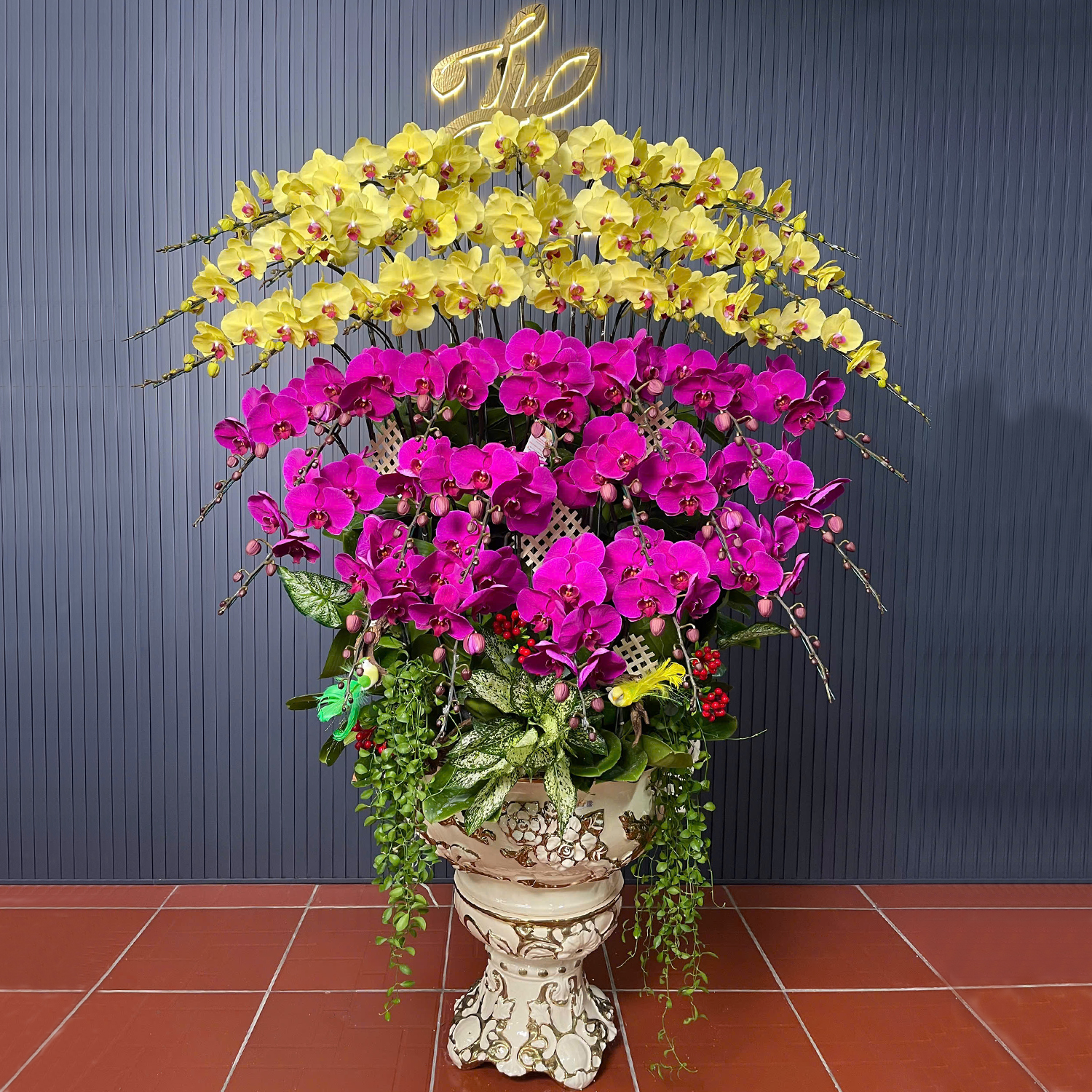 Chậu Hoa Lan Nhiều Màu 40 Cây Cắm 1 Hướng