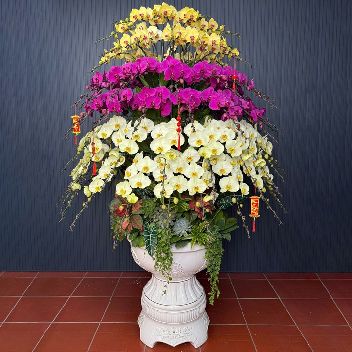 Chậu Hoa Lan Nhiều Màu 86 Cây Cắm Xoay Tròn Tiểu Cảnh (Xanh 250, Tím, Vàng)