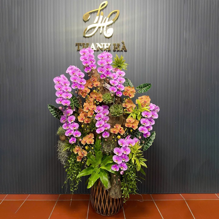 Chậu Hoa Lan Nhiều Màu 15 Cây Cắm Tự Nhiên Tiểu Cảnh (Vàng Kẻ, Hồng 336)
